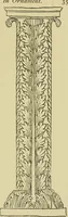 An illustration from Nature in ornament; an enquiry into the natural element in ornamental design & a survey of the ornamental treatment of natural forms (1902)