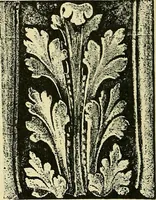 An illustration from Nature in ornament; an enquiry into the natural element in ornamental design & a survey of the ornamental treatment of natural forms (1902)