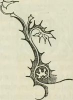 An illustration from The nature of Gothic : a chapter of The stones of Venice (1892)
