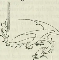 An illustration from The nature of Gothic : a chapter of The stones of Venice (1892)