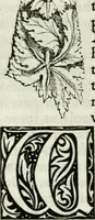 Picture 59 of 61 from The nature of Gothic : a chapter of The stones of Venice (1892), leaf 131
