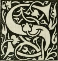An illustration from The nature of Gothic : a chapter of The stones of Venice (1892)