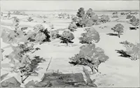 Picture 24 of 87 from Nature's laws and the making of pictures (1903), leaf 29