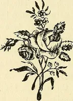 Picture 26 of 233 from Nature's revelations of character; or, physiognomy illustrated. A description of the mental, moral and volitive dispositions of mankind, as manifested in the human form and countenance (1879), leaf 131