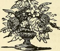 Picture 28 of 233 from Nature's revelations of character; or, physiognomy illustrated. A description of the mental, moral and volitive dispositions of mankind, as manifested in the human form and countenance (1879), leaf 151