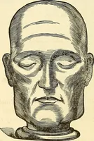 An illustration from Nature's revelations of character; or, physiognomy illustrated. A description of the mental, moral and volitive dispositions of mankind, as manifested in the human form and countenance (1879)