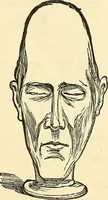 An illustration from Nature's revelations of character; or, physiognomy illustrated. A description of the mental, moral and volitive dispositions of mankind, as manifested in the human form and countenance (1879)
