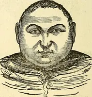 An illustration from Nature's revelations of character; or, physiognomy illustrated. A description of the mental, moral and volitive dispositions of mankind, as manifested in the human form and countenance (1879)