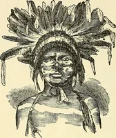 An illustration from Nature's revelations of character; or, physiognomy illustrated. A description of the mental, moral and volitive dispositions of mankind, as manifested in the human form and countenance (1879)
