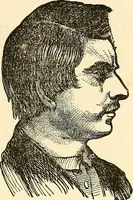 An illustration from Nature's revelations of character; or, physiognomy illustrated. A description of the mental, moral and volitive dispositions of mankind, as manifested in the human form and countenance (1879)