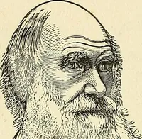 An illustration from Nature's revelations of character; or, physiognomy illustrated. A description of the mental, moral and volitive dispositions of mankind, as manifested in the human form and countenance (1879)
