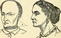 An illustration from Nature's revelations of character; or, physiognomy illustrated. A description of the mental, moral and volitive dispositions of mankind, as manifested in the human form and countenance (1879)