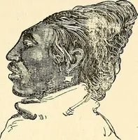 An illustration from Nature's revelations of character; or, physiognomy illustrated. A description of the mental, moral and volitive dispositions of mankind, as manifested in the human form and countenance (1879)