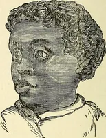 An illustration from Nature's revelations of character; or, physiognomy illustrated. A description of the mental, moral and volitive dispositions of mankind, as manifested in the human form and countenance (1879)