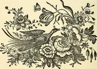 Picture 160 of 233 from Nature's revelations of character; or, physiognomy illustrated. A description of the mental, moral and volitive dispositions of mankind, as manifested in the human form and countenance (1879), leaf 323