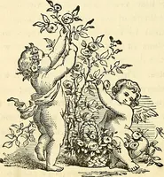 Picture 166 of 233 from Nature's revelations of character; or, physiognomy illustrated. A description of the mental, moral and volitive dispositions of mankind, as manifested in the human form and countenance (1879), leaf 367