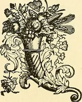 Picture 169 of 233 from Nature's revelations of character; or, physiognomy illustrated. A description of the mental, moral and volitive dispositions of mankind, as manifested in the human form and countenance (1879), leaf 385