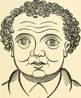 An illustration from Nature's revelations of character; or, physiognomy illustrated. A description of the mental, moral and volitive dispositions of mankind, as manifested in the human form and countenance (1879)