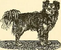 An illustration from Nature's revelations of character; or, physiognomy illustrated. A description of the mental, moral and volitive dispositions of mankind, as manifested in the human form and countenance (1879)