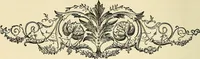 Picture 190 of 233 from Nature's revelations of character; or, physiognomy illustrated. A description of the mental, moral and volitive dispositions of mankind, as manifested in the human form and countenance (1879), leaf 485