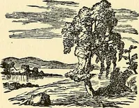 Picture 195 of 233 from Nature's revelations of character; or, physiognomy illustrated. A description of the mental, moral and volitive dispositions of mankind, as manifested in the human form and countenance (1879), leaf 493