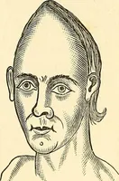 An illustration from Nature's revelations of character; or, physiognomy illustrated. A description of the mental, moral and volitive dispositions of mankind, as manifested in the human form and countenance (1879)