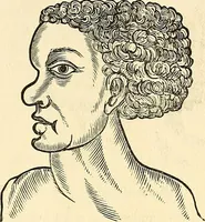 An illustration from Nature's revelations of character; or, physiognomy illustrated. A description of the mental, moral and volitive dispositions of mankind, as manifested in the human form and countenance (1879)