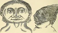 An illustration from Nature's revelations of character; or, physiognomy illustrated. A description of the mental, moral and volitive dispositions of mankind, as manifested in the human form and countenance (1879)