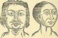 An illustration from Nature's revelations of character; or, physiognomy illustrated. A description of the mental, moral and volitive dispositions of mankind, as manifested in the human form and countenance (1879)