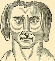 An illustration from Nature's revelations of character; or, physiognomy illustrated. A description of the mental, moral and volitive dispositions of mankind, as manifested in the human form and countenance (1879)