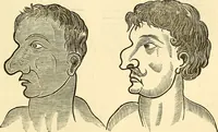 An illustration from Nature's revelations of character; or, physiognomy illustrated. A description of the mental, moral and volitive dispositions of mankind, as manifested in the human form and countenance (1879)