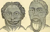 An illustration from Nature's revelations of character; or, physiognomy illustrated. A description of the mental, moral and volitive dispositions of mankind, as manifested in the human form and countenance (1879)