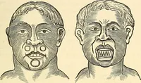 An illustration from Nature's revelations of character; or, physiognomy illustrated. A description of the mental, moral and volitive dispositions of mankind, as manifested in the human form and countenance (1879)