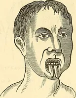 An illustration from Nature's revelations of character; or, physiognomy illustrated. A description of the mental, moral and volitive dispositions of mankind, as manifested in the human form and countenance (1879)