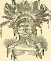 An illustration from Nature's revelations of character; or, physiognomy illustrated. A description of the mental, moral and volitive dispositions of mankind, as manifested in the human form and countenance (1879)