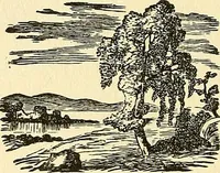 Picture 231 of 233 from Nature's revelations of character; or, physiognomy illustrated. A description of the mental, moral and volitive dispositions of mankind, as manifested in the human form and countenance (1879), leaf 585
