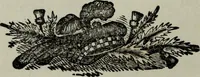 Picture 15 of 250 from Nature's revelations of character, or, Physiognomy illustrated : a description of the mental, moral and volitive dispositions of mankind, as manifested in the human form and countenance (1887), leaf 103