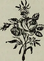 Picture 26 of 250 from Nature's revelations of character, or, Physiognomy illustrated : a description of the mental, moral and volitive dispositions of mankind, as manifested in the human form and countenance (1887), leaf 131