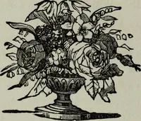 Picture 28 of 250 from Nature's revelations of character, or, Physiognomy illustrated : a description of the mental, moral and volitive dispositions of mankind, as manifested in the human form and countenance (1887), leaf 151