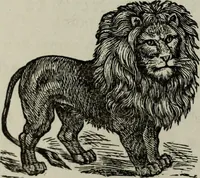 Picture 45 of 250 from Nature's revelations of character, or, Physiognomy illustrated : a description of the mental, moral and volitive dispositions of mankind, as manifested in the human form and countenance (1887), leaf 177