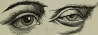 Picture 58 of 250 from Nature's revelations of character, or, Physiognomy illustrated : a description of the mental, moral and volitive dispositions of mankind, as manifested in the human form and countenance (1887), leaf 192