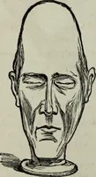 An illustration from Nature's revelations of character, or, Physiognomy illustrated : a description of the mental, moral and volitive dispositions of mankind, as manifested in the human form and countenance (1887)