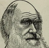 An illustration from Nature's revelations of character, or, Physiognomy illustrated : a description of the mental, moral and volitive dispositions of mankind, as manifested in the human form and countenance (1887)
