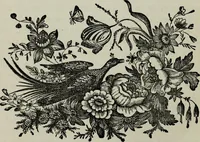 Picture 169 of 250 from Nature's revelations of character, or, Physiognomy illustrated : a description of the mental, moral and volitive dispositions of mankind, as manifested in the human form and countenance (1887), leaf 323