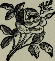 Picture 176 of 250 from Nature's revelations of character, or, Physiognomy illustrated : a description of the mental, moral and volitive dispositions of mankind, as manifested in the human form and countenance (1887), leaf 338