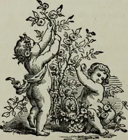 Picture 178 of 250 from Nature's revelations of character, or, Physiognomy illustrated : a description of the mental, moral and volitive dispositions of mankind, as manifested in the human form and countenance (1887), leaf 367