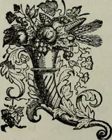 Picture 183 of 250 from Nature's revelations of character, or, Physiognomy illustrated : a description of the mental, moral and volitive dispositions of mankind, as manifested in the human form and countenance (1887), leaf 385