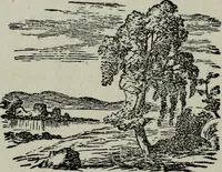 Picture 210 of 250 from Nature's revelations of character, or, Physiognomy illustrated : a description of the mental, moral and volitive dispositions of mankind, as manifested in the human form and countenance (1887), leaf 493