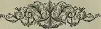 Picture 215 of 250 from Nature's revelations of character, or, Physiognomy illustrated : a description of the mental, moral and volitive dispositions of mankind, as manifested in the human form and countenance (1887), leaf 514