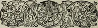 Picture 216 of 250 from Nature's revelations of character, or, Physiognomy illustrated : a description of the mental, moral and volitive dispositions of mankind, as manifested in the human form and countenance (1887), leaf 519